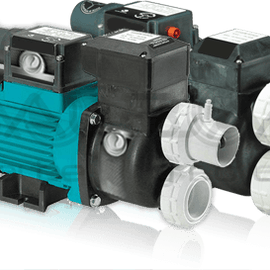 Balboa Series 200 Heated Pumps Pump Balboa