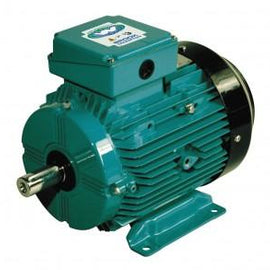 Global Electric Motors Electric Motor Global